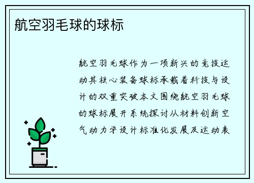 航空羽毛球的球标