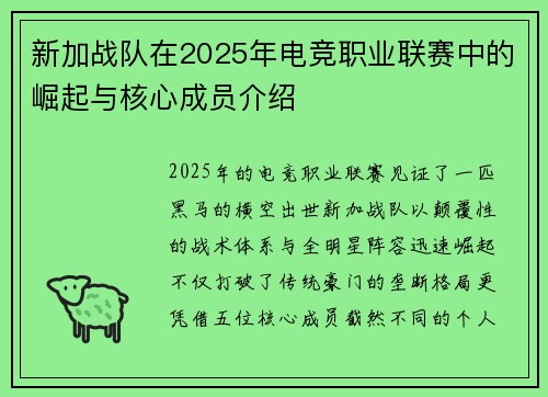 新加战队在2025年电竞职业联赛中的崛起与核心成员介绍